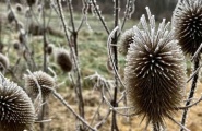 Die Ruhe der Natur im Dezember 2022