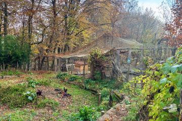 November 2025 in der Wildniskultur