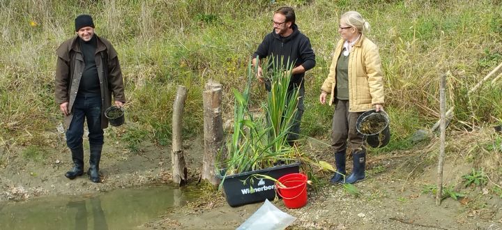 -Biotop Pflege, Benjamin, Josef und Judith