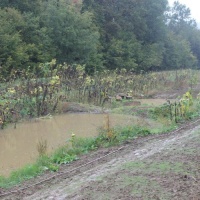 Wasserrückhaltebecken-