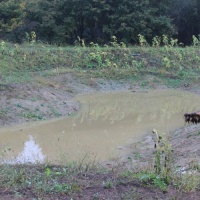 Der Kratergarten-