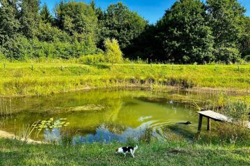 Führung am WildnisKulturHof-Führung am WildnisKulturHof