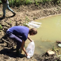Fische ziehen bei uns ein-