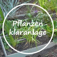 Pflanzenkläranlage-