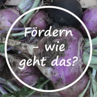 Fördern und unterstützen - wie geht das?-