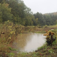 Wasserretentionsräume-