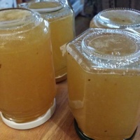 -Weintraubengelee in Gläsern