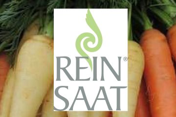 Reinsaat - biologisches Gemüsesaatgut-