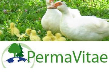 PermaVitae-
