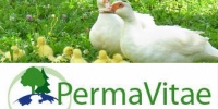 PermaVitae-