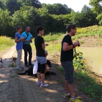 Die springenden Fische-