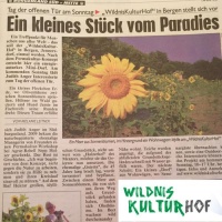 Artikel in der Krone Burgenland-