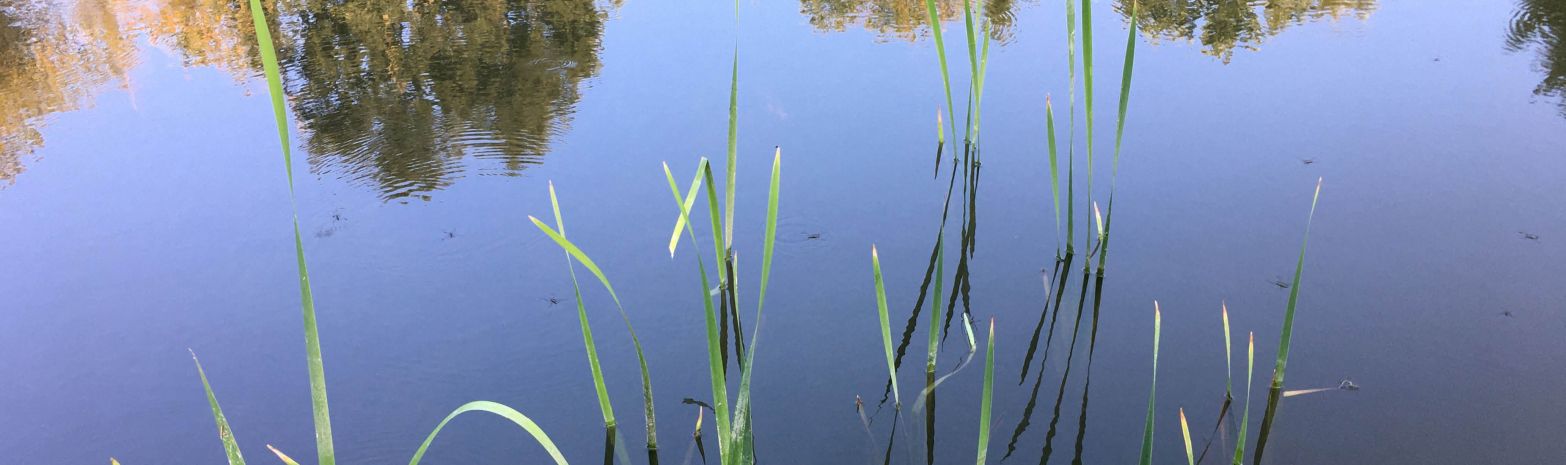 WASSERRETENTIONSRÄUME - Wir haben gelernt, in der Natur zu lesen.