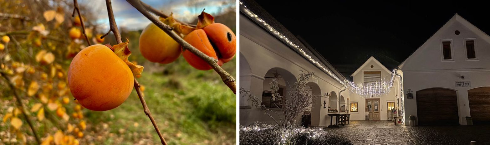 NOVEMBER 2025 - WEIHNACHTEN STEHT VOR DER TÜR