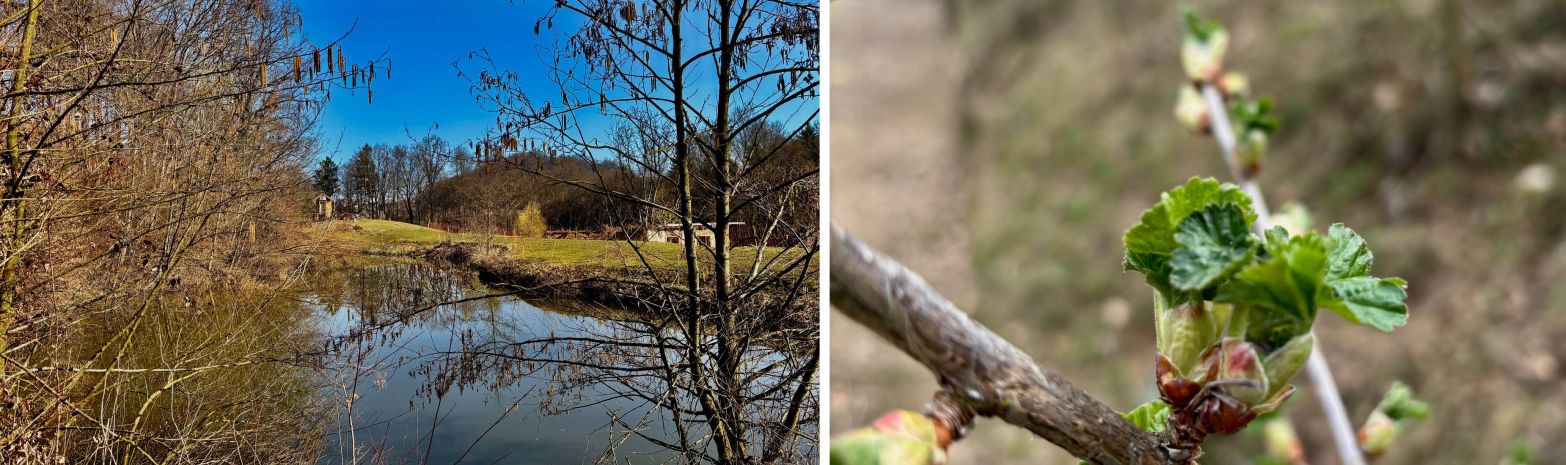 M&Auml;RZ 2026 - GANZ ZART ZEIGT SICH DER FR&Uuml;HLING