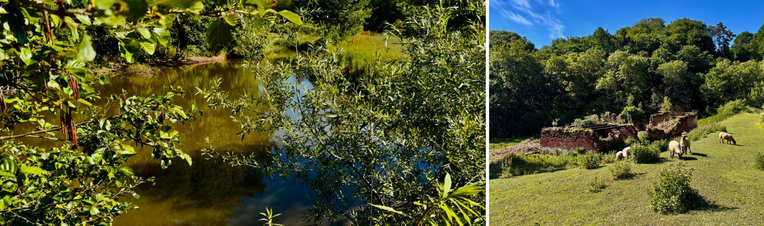 MAI 2026 - WILDNISKULTURHOF trifft MAHLZEIT BURGENLAND