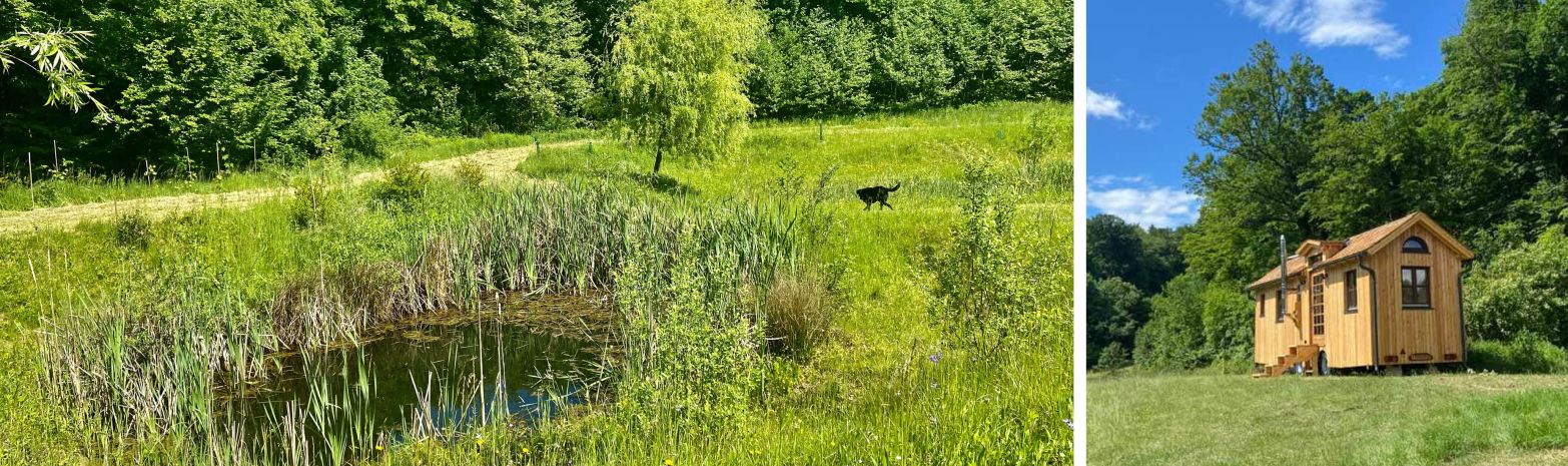 MAI 2025 AM WILDNISKULTURHOF - ES GIBT VIEL NEUES!