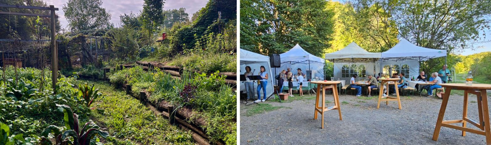 SEPTEMBER 2025 - DER HERBST IST DA! UND WIR FEIERTEN 10 JAHRE WILDNISKULTURHOF!