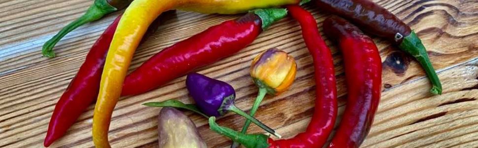 Leckere Rezepte findest Du im Buch 'Leb wohl, Supermarkt'